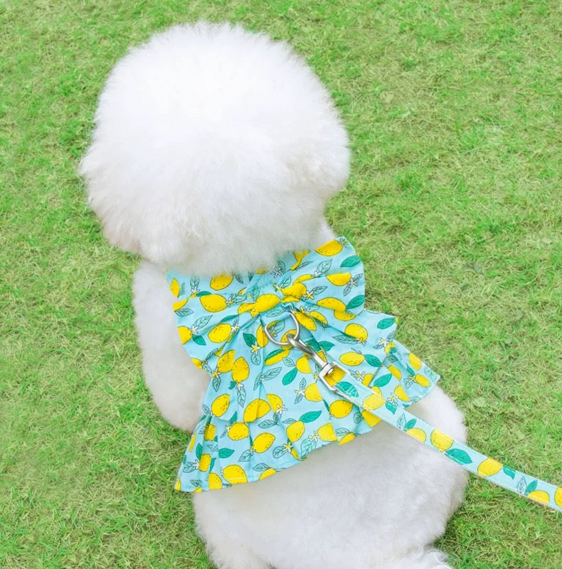 summer dog dress harness, dog harness dress with leash, floral dog harness, cute dog dress India, pet dress harness set, breathable dog harness summer, stylish dog outfit, small dog dress harness, dog leash and harness set, designer pet wear India, bow dog dress harness, dog walking outfit cute, pet clothing India, floral pet harness dress