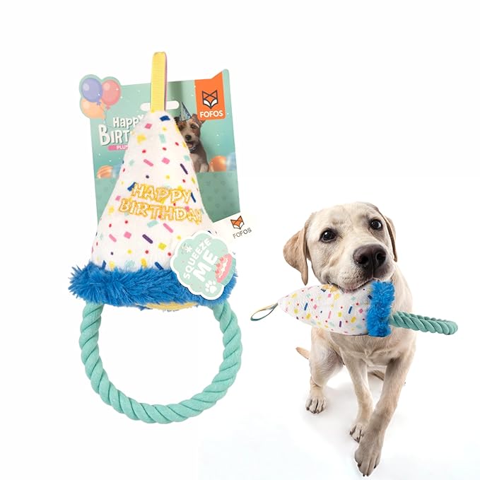 FOFOS Birthday Hat Toy
