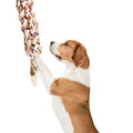 FOFOS Flossy Rope Braided Dog Toy