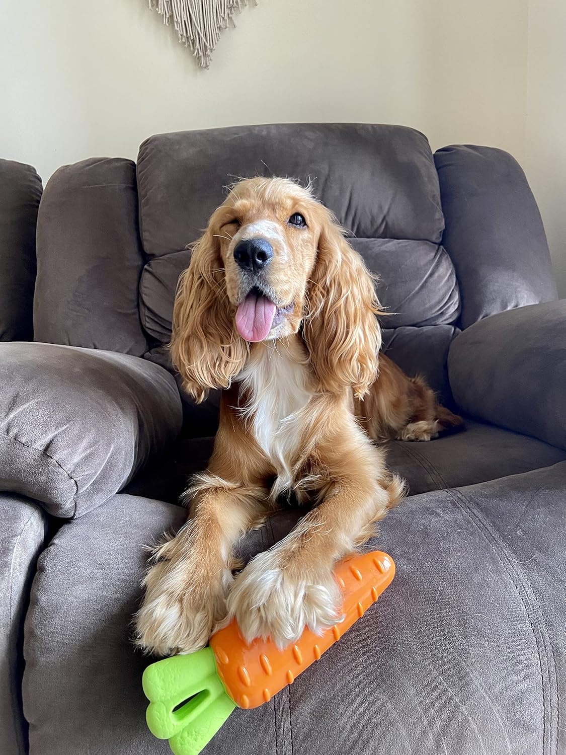 FOFOS Vegi-Bites Carrot - Chew & Squeaky Toy