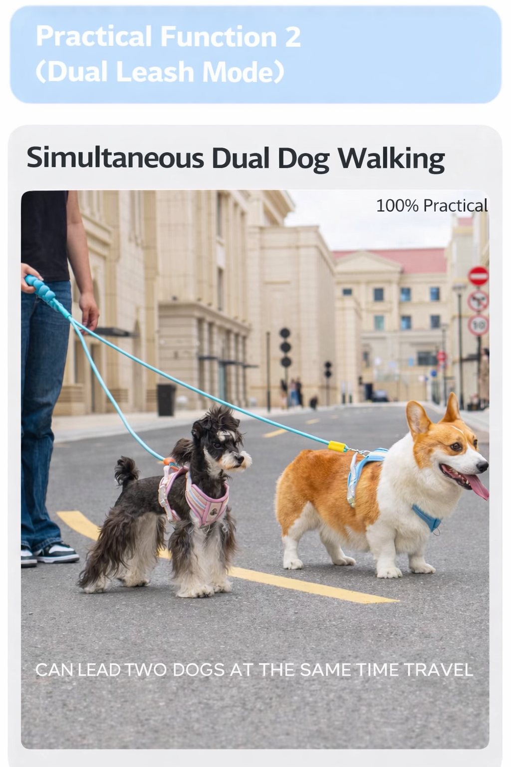 Haus of Pet DualFlex Double Dog Leash – 2-in-1 Adjustable Leash for One or Two Dogs