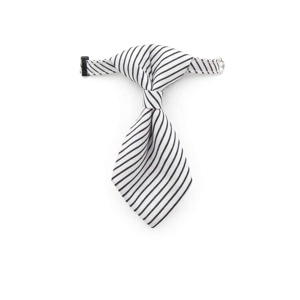 Royal Stripe Tie Collar