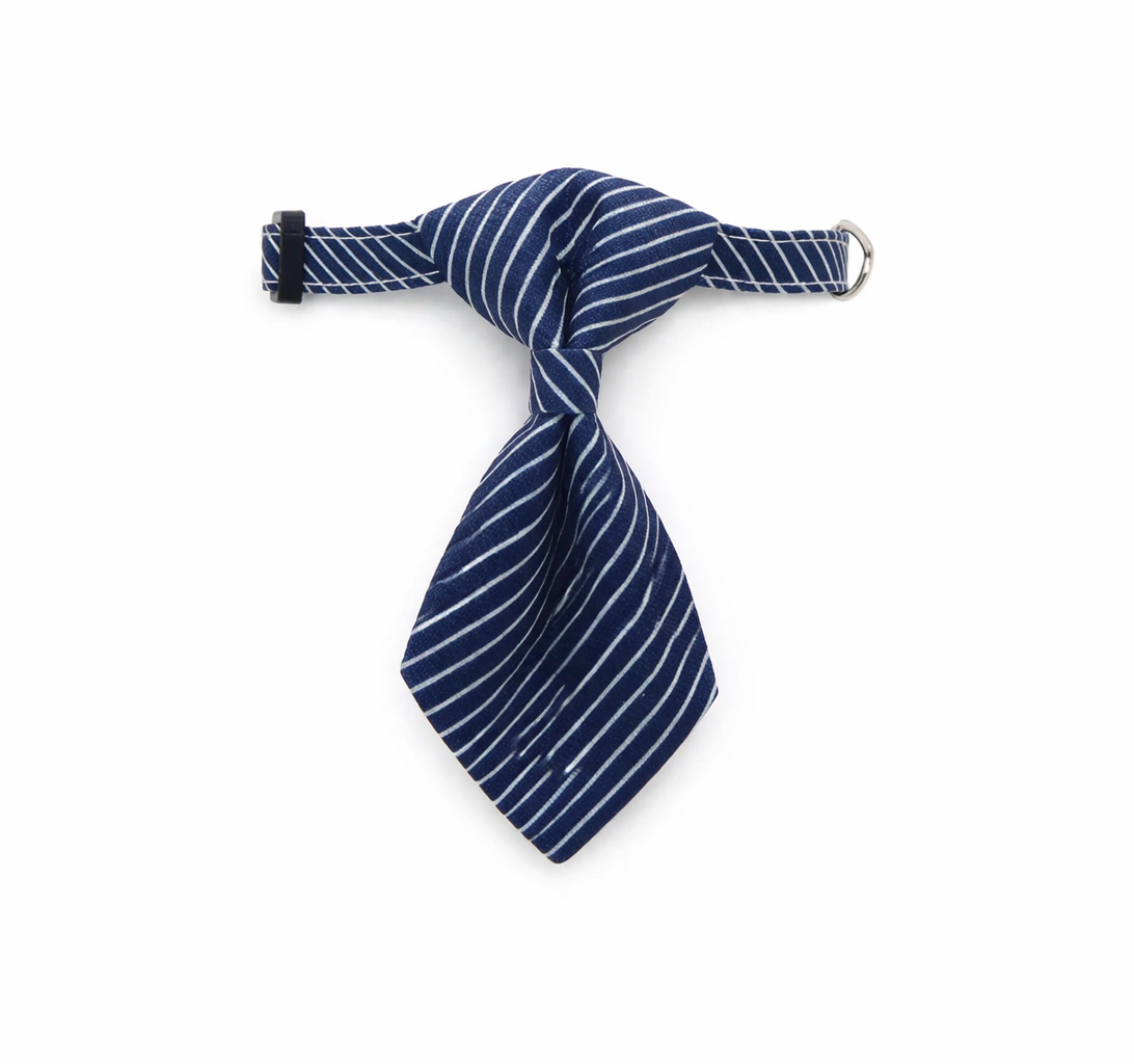 Royal Stripe Tie Collar