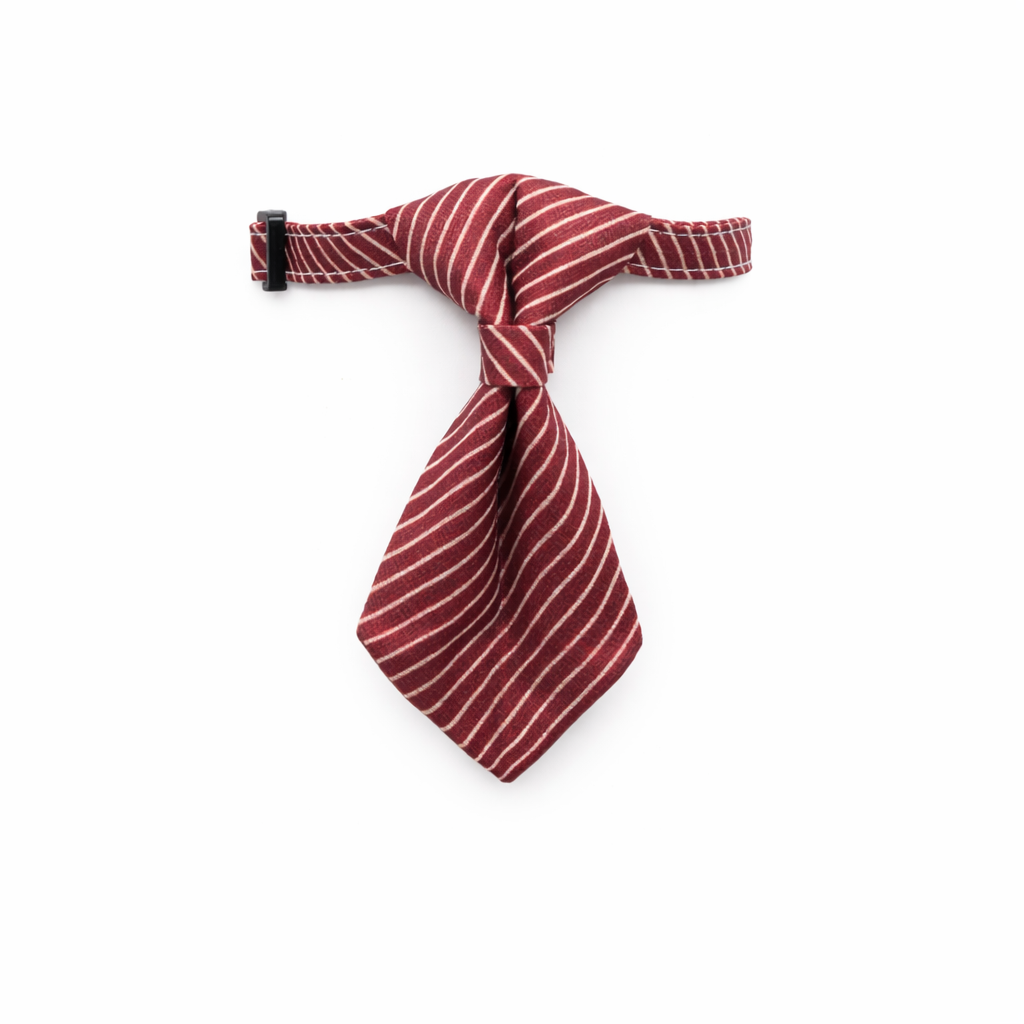 Royal Stripe Tie Collar
