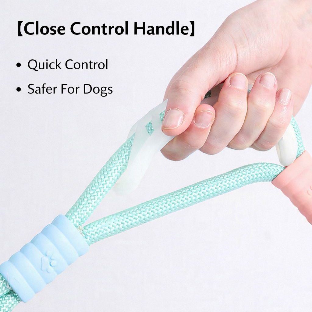 Haus of Pet 3-in-1 Multi-Handle Dog Leash