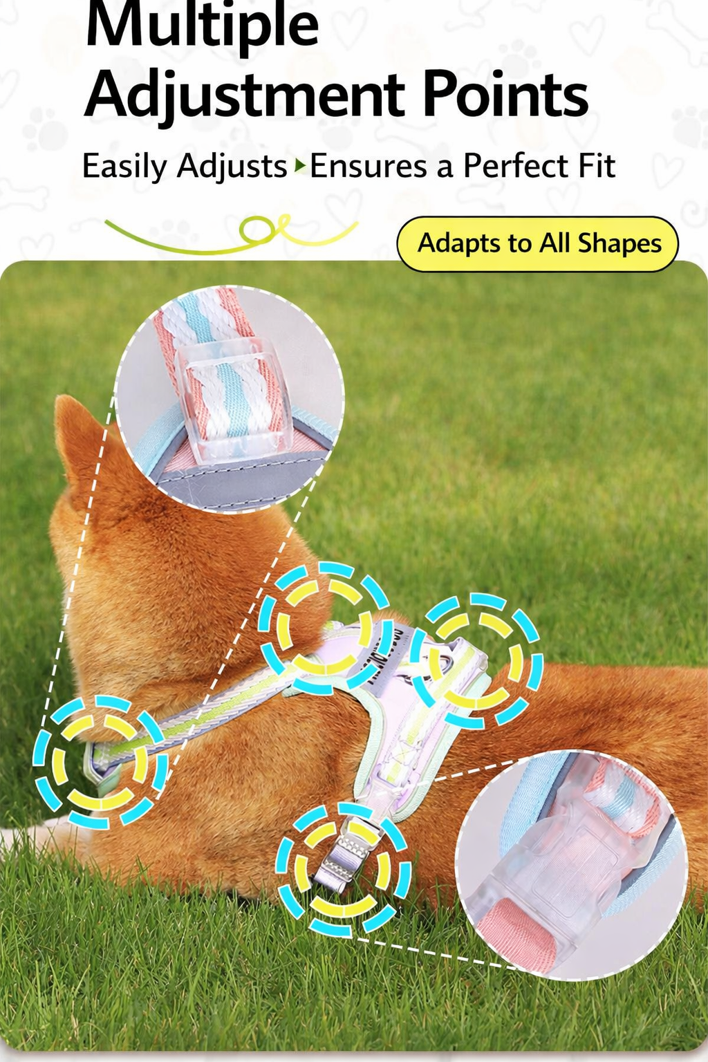 Haus of Pet GlowGuard Harness