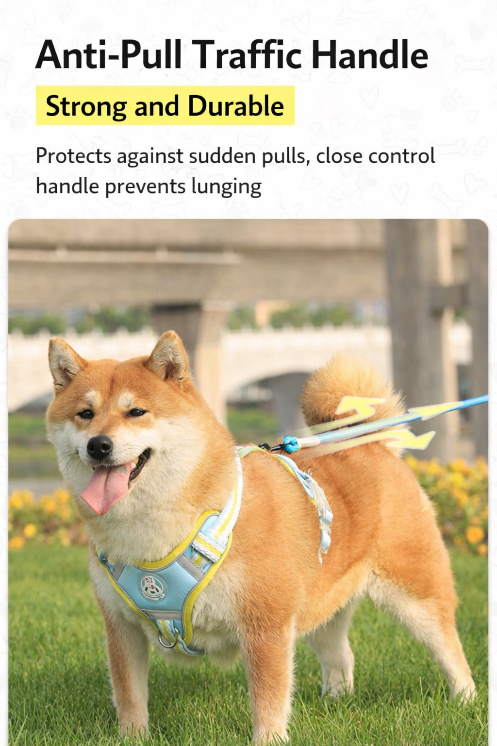 Haus of Pet GlowGuard Harness