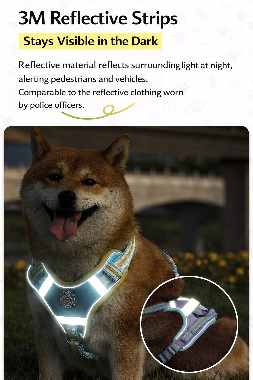 Haus of Pet GlowGuard Harness