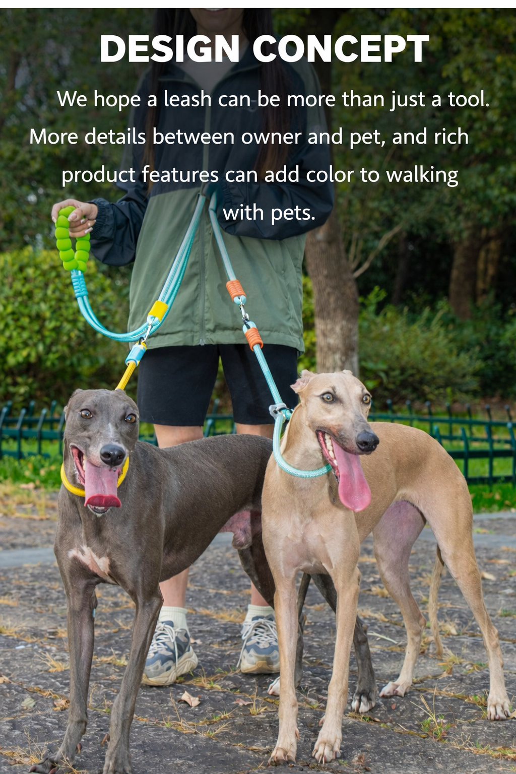 Haus of Pet DualFlex Double Dog Leash – 2-in-1 Adjustable Leash for One or Two Dogs