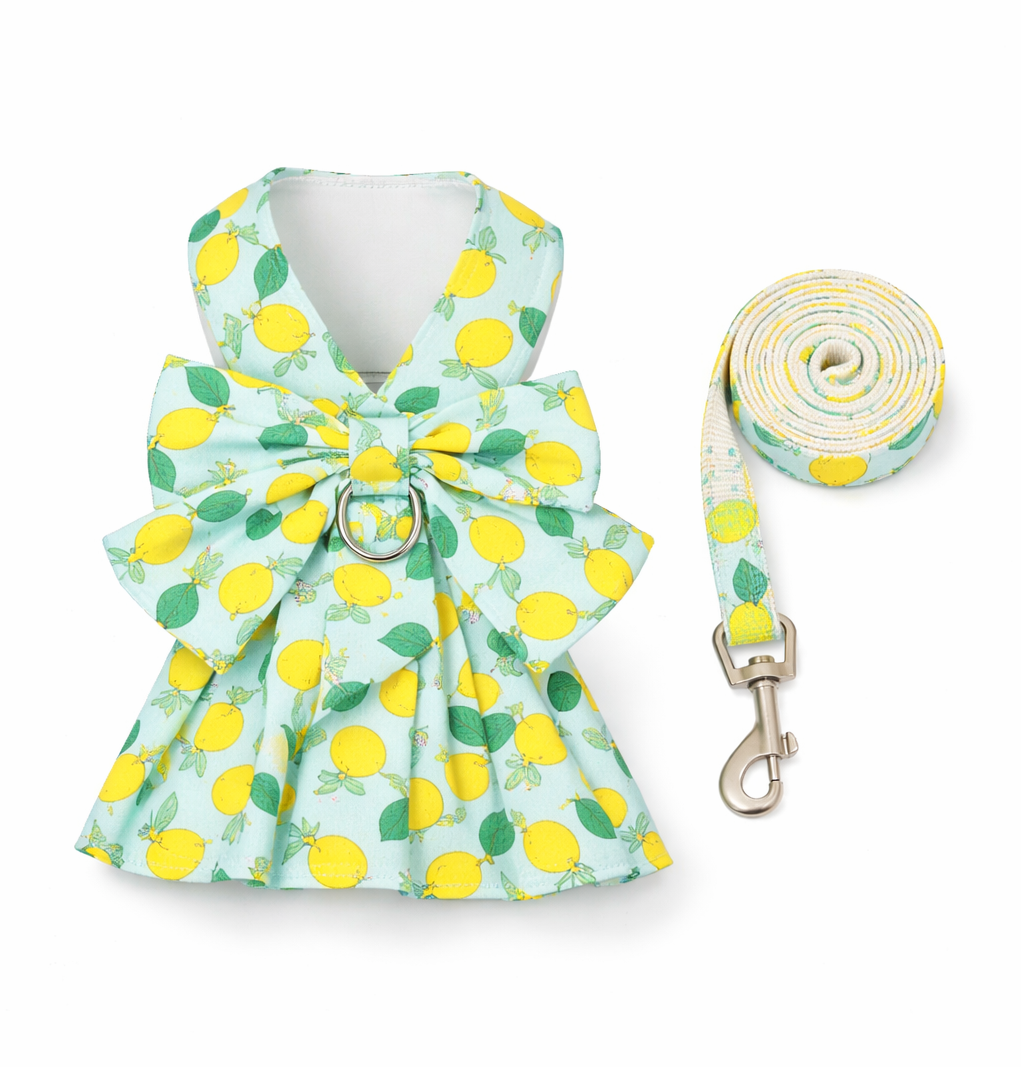 summer dog dress harness, dog harness dress with leash, floral dog harness, cute dog dress India, pet dress harness set, breathable dog harness summer, stylish dog outfit, small dog dress harness, dog leash and harness set, designer pet wear India, bow dog dress harness, dog walking outfit cute, pet clothing India, floral pet harness dress