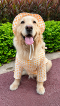 Haus of Pet Teddy Check Gentleman Shirt & Hat Set