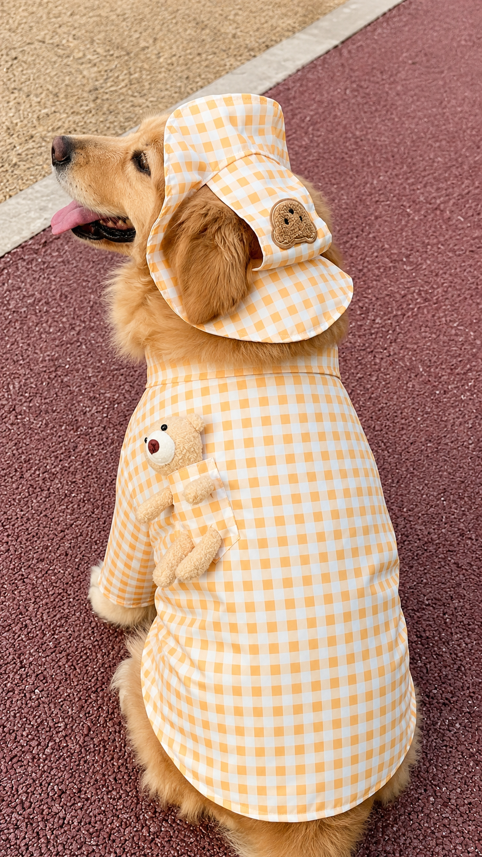 Haus of Pet Teddy Check Gentleman Shirt & Hat Set