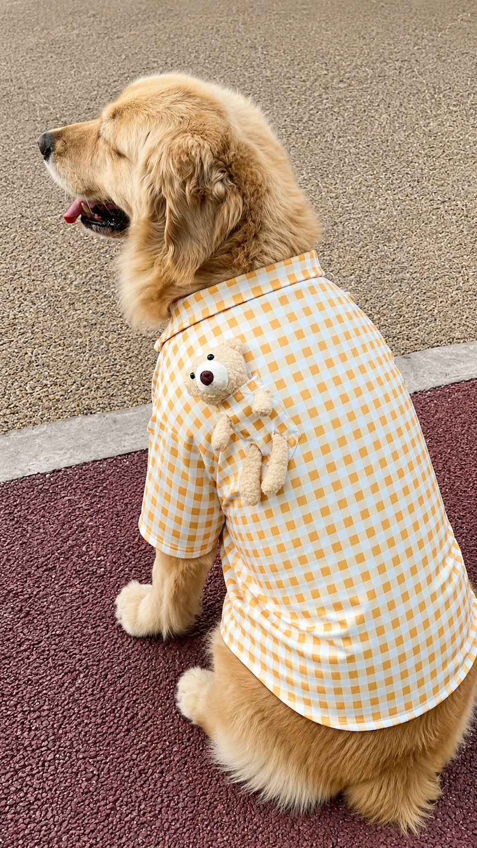 Haus of Pet Teddy Check Gentleman Shirt & Hat Set