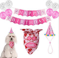 Haus of Pet Birthday Decoration Kit – Complete Party Set for Dogs (Banner, Balloons, Bandana & Hat)