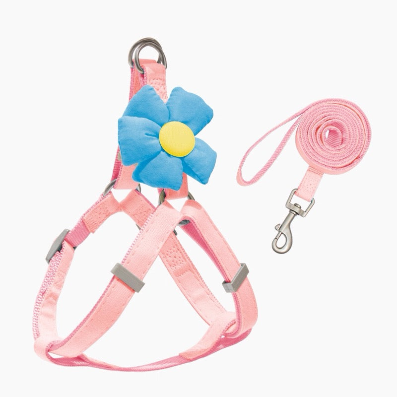 Small Pet Floral Harness and Leash
