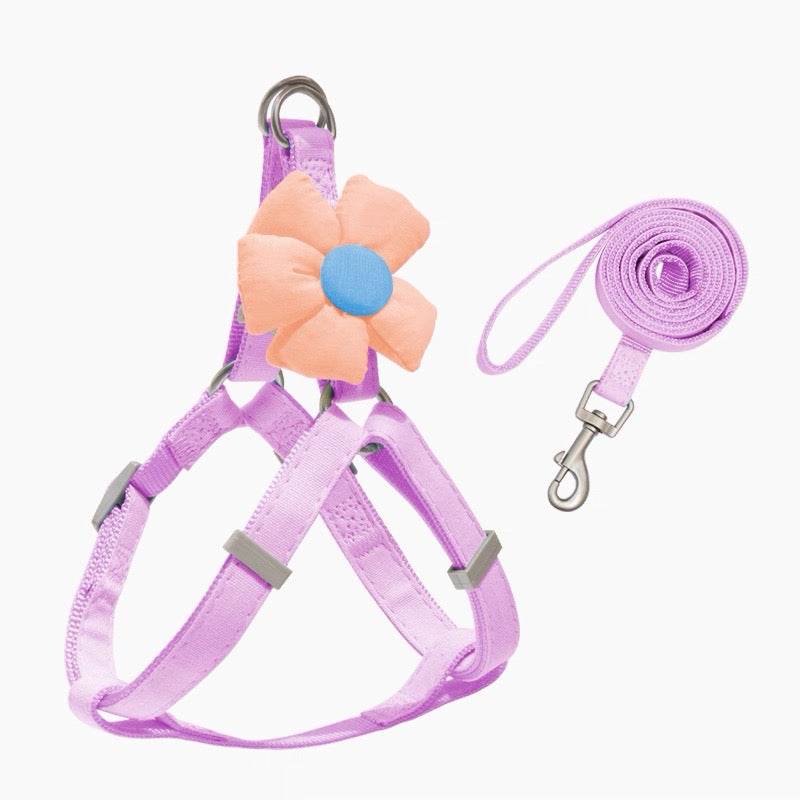 Small Pet Floral Harness and Leash