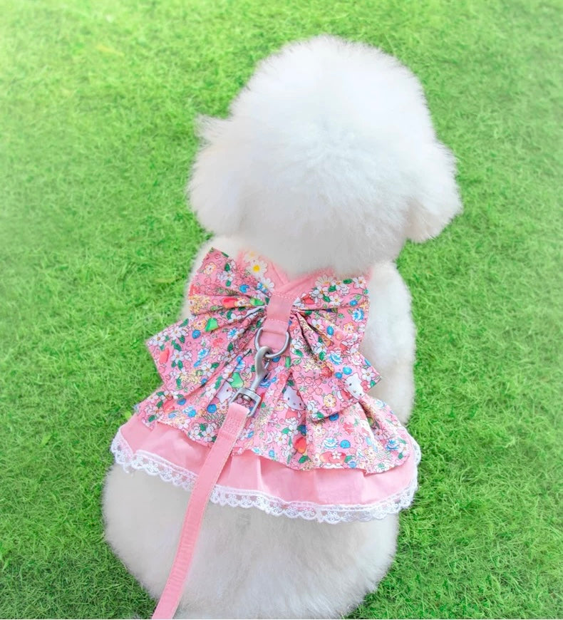 Floral Tulle Princess Dress Harness & Leash Set