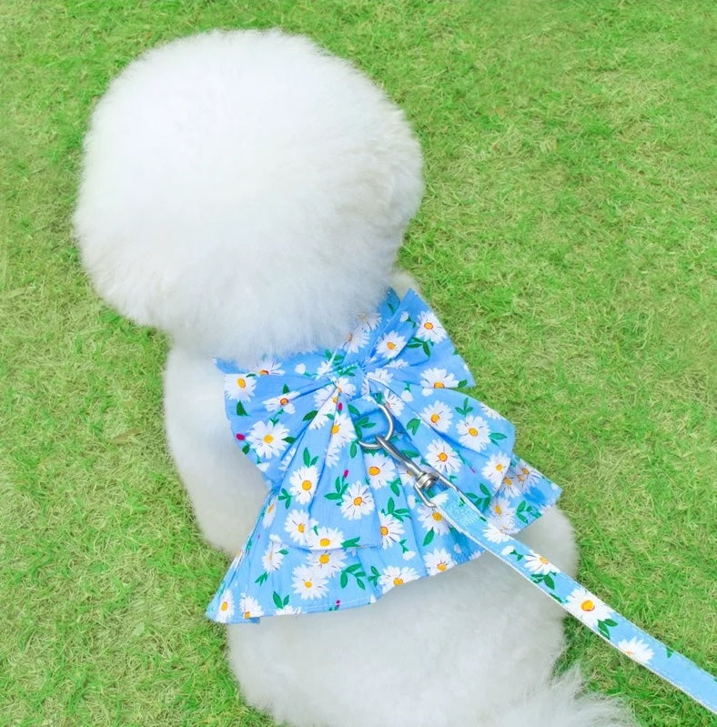 summer dog dress harness, dog harness dress with leash, floral dog harness, cute dog dress India, pet dress harness set, breathable dog harness summer, stylish dog outfit, small dog dress harness, dog leash and harness set, designer pet wear India, bow dog dress harness, dog walking outfit cute, pet clothing India, floral pet harness dress