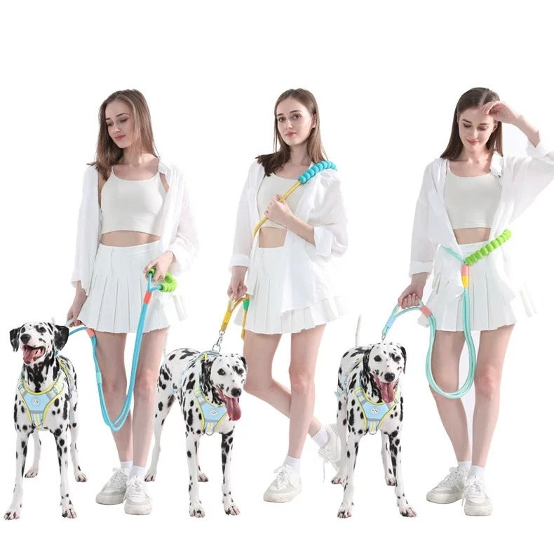 Haus of Pet 3-in-1 Multi-Handle Dog Leash