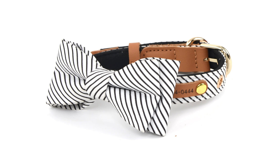 Royal Stripe Bow Collar