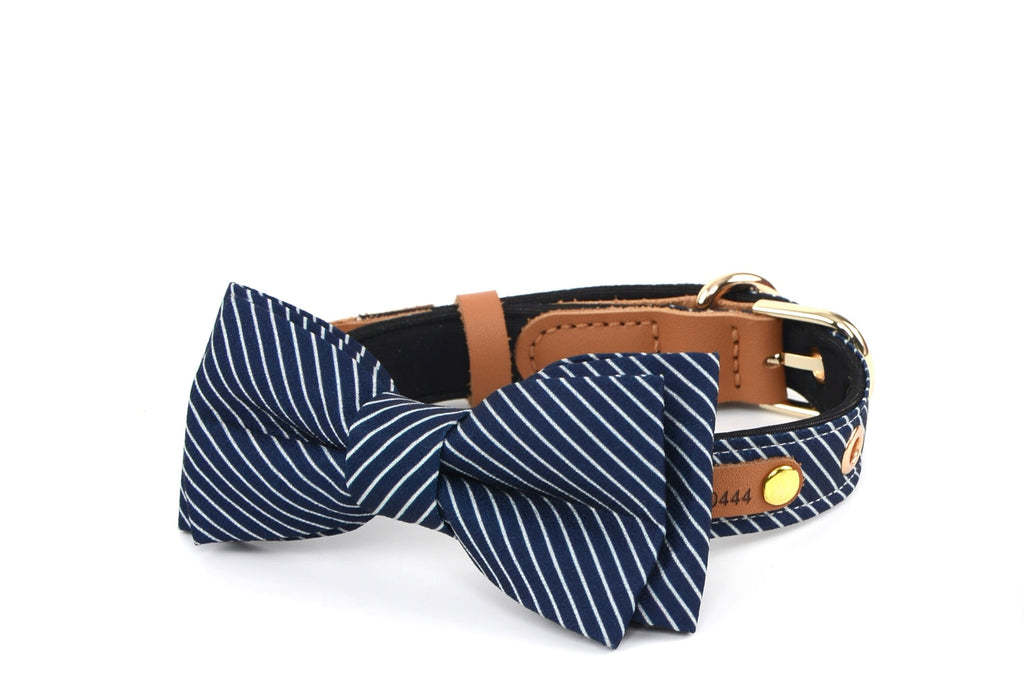 Royal Stripe Bow Collar