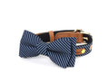 Royal Stripe Bow Collar