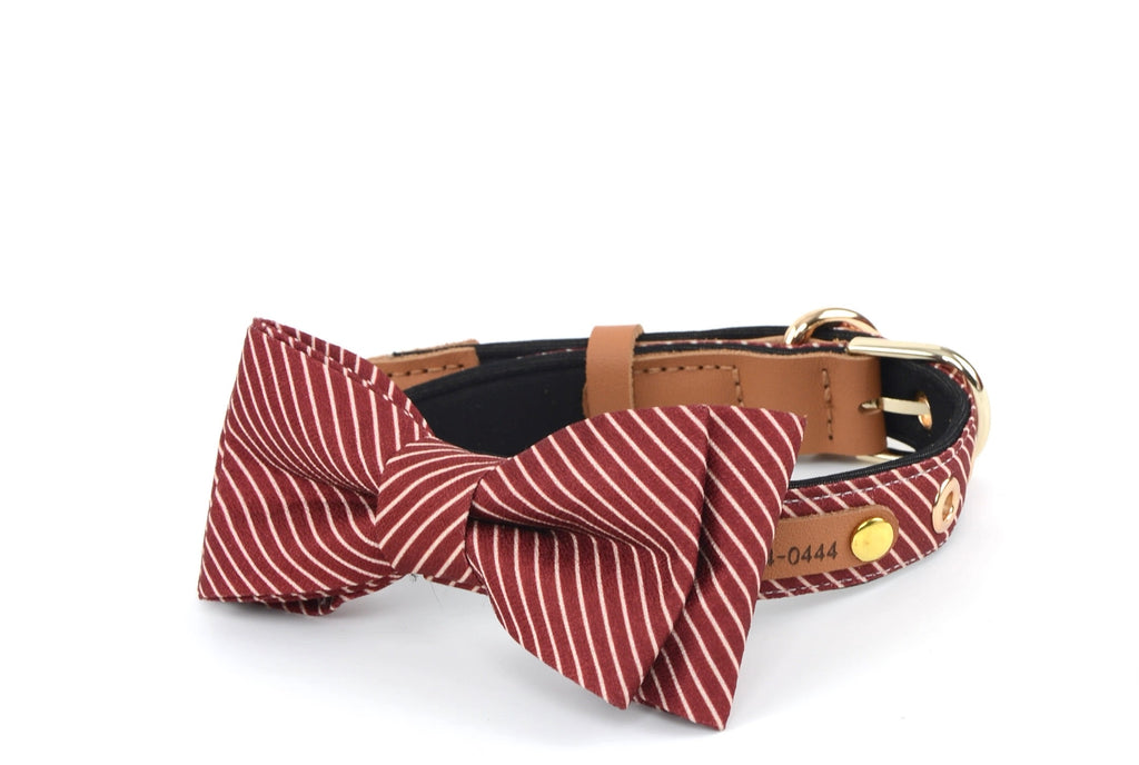 Royal Stripe Bow Collar