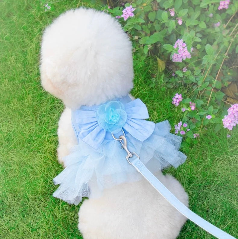 Princess Dress Harness & Leash Set