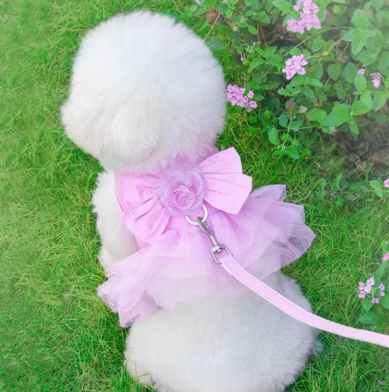Princess Dress Harness & Leash Set