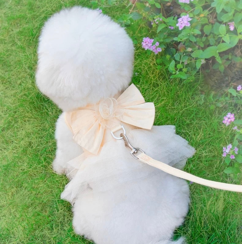 Princess Dress Harness & Leash Set