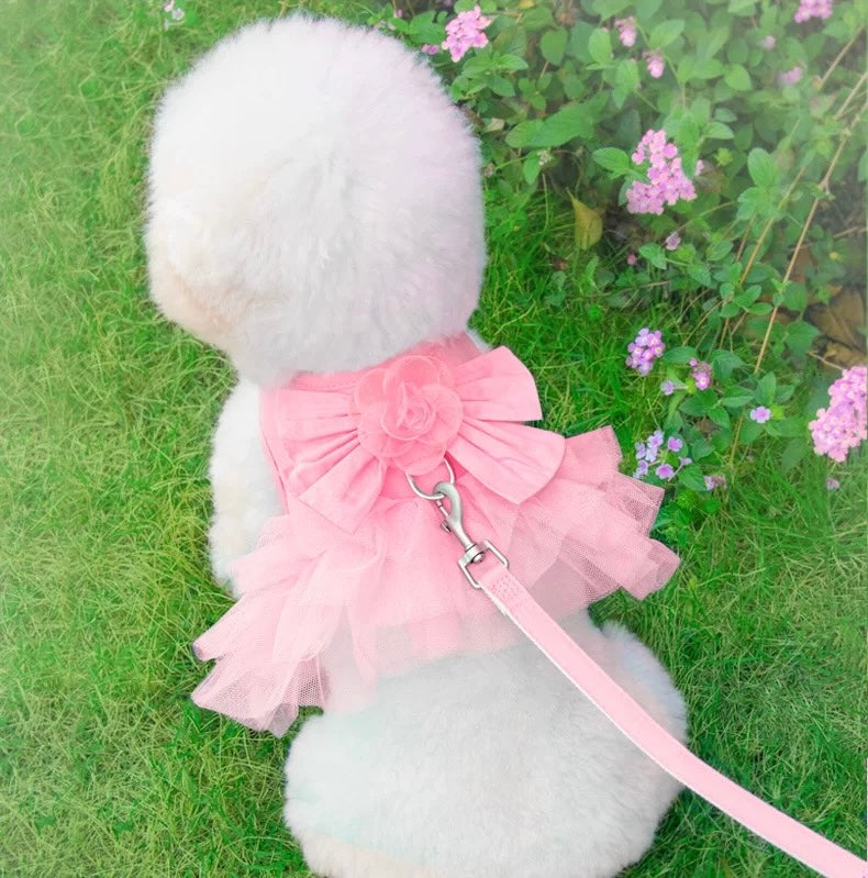 Princess Dress Harness & Leash Set