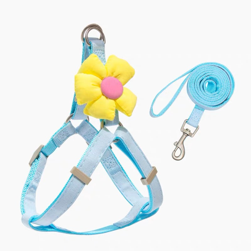 Small Pet Floral Harness and Leash
