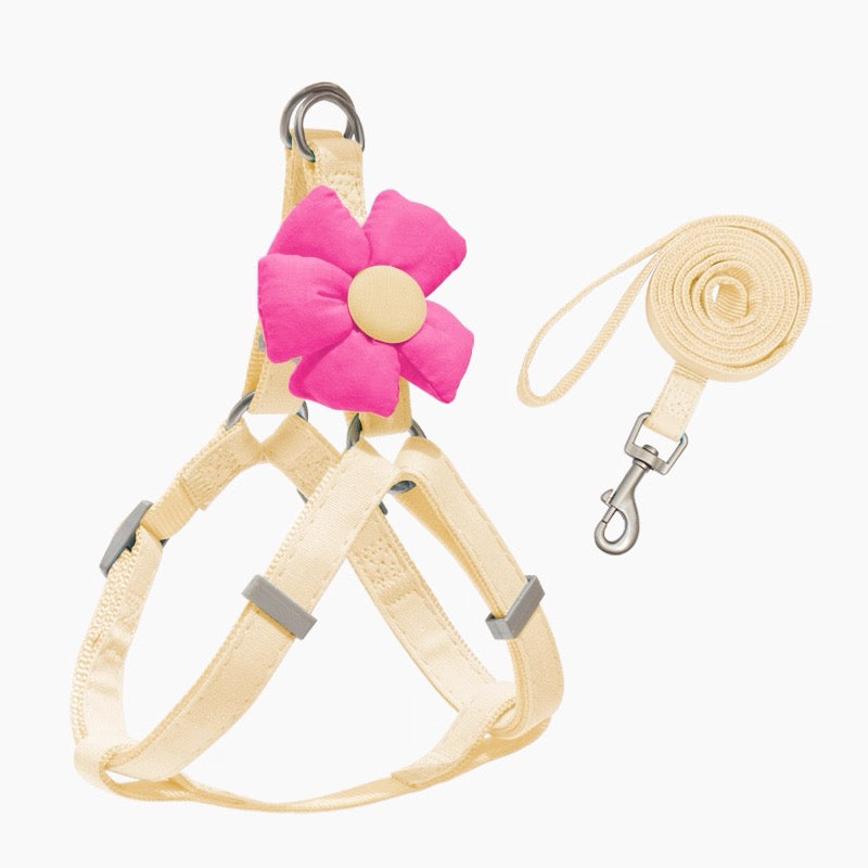 Small Pet Floral Harness and Leash
