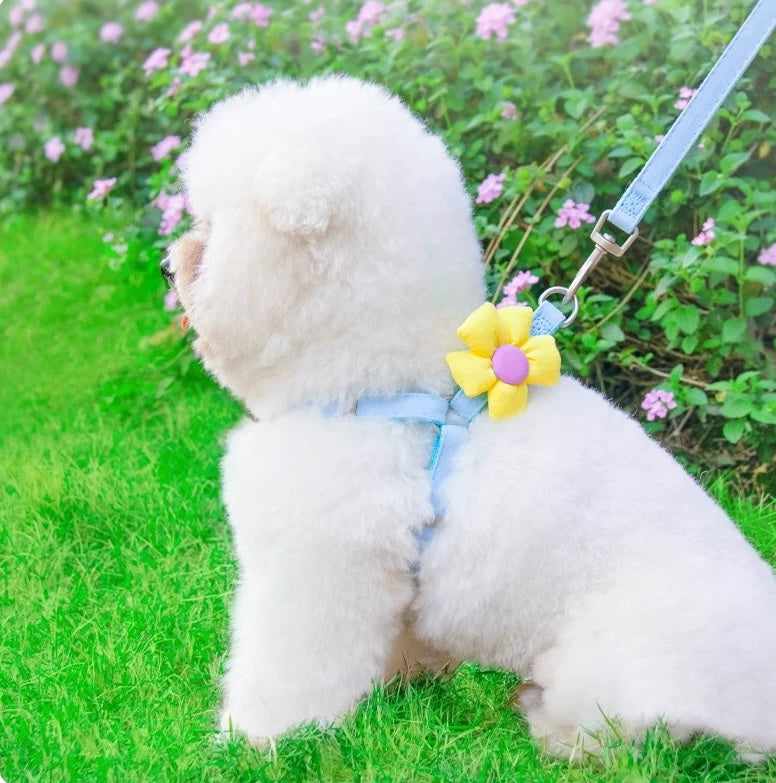 Small Pet Floral Harness and Leash