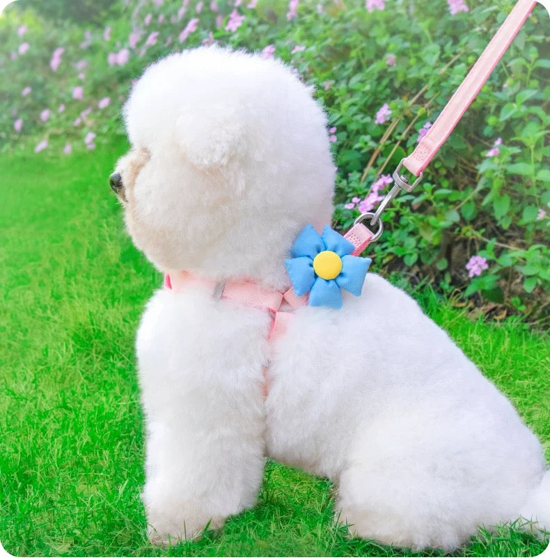 Small Pet Floral Harness and Leash