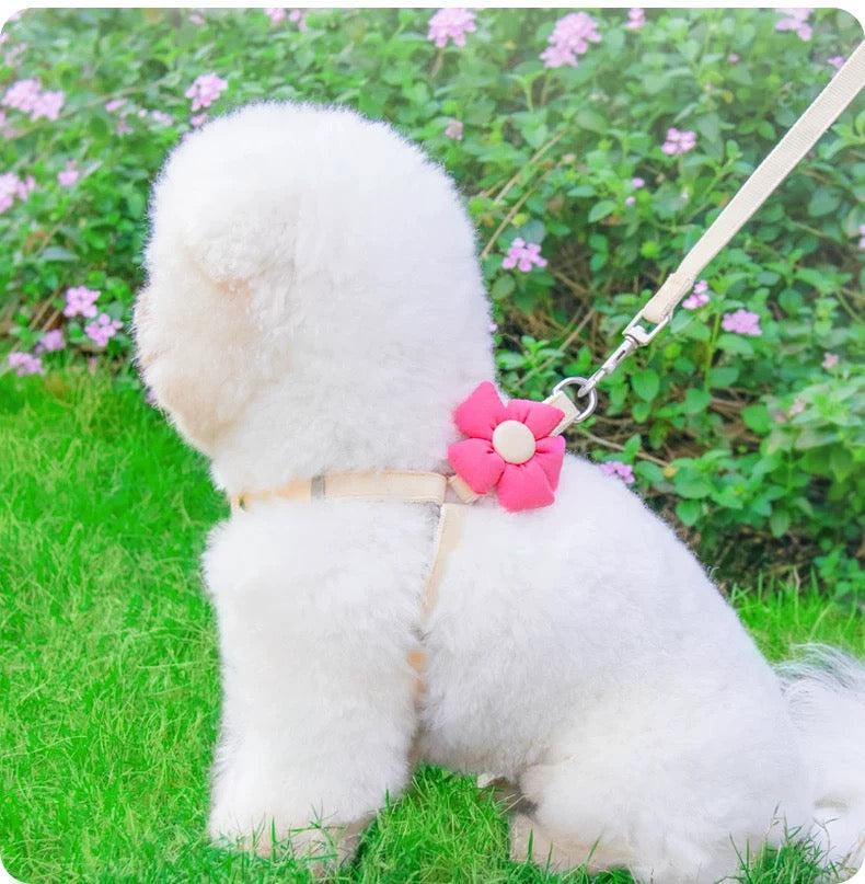 Small Pet Floral Harness and Leash