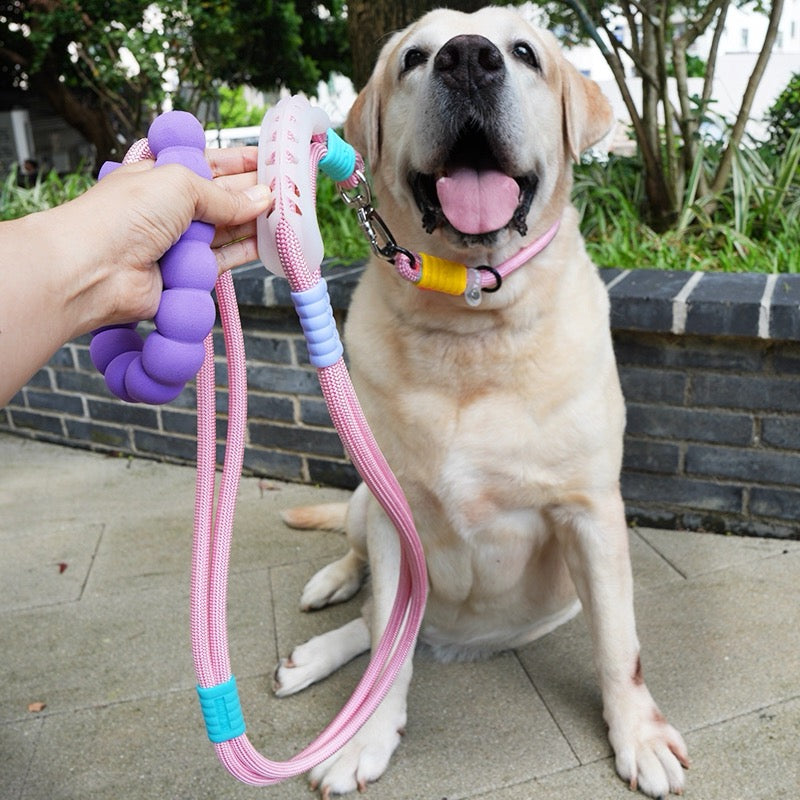 Haus of Pet 3-in-1 Multi-Handle Dog Leash