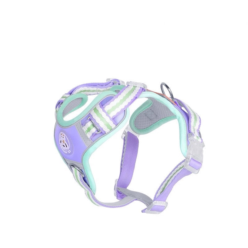 Haus of Pet GlowGuard Harness