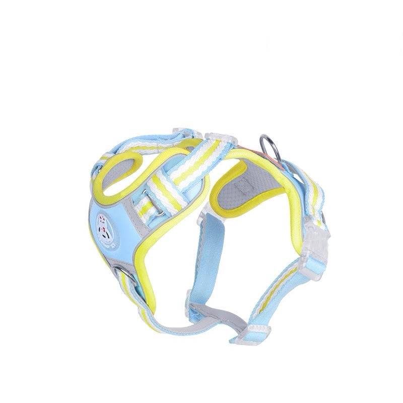 Haus of Pet GlowGuard Harness