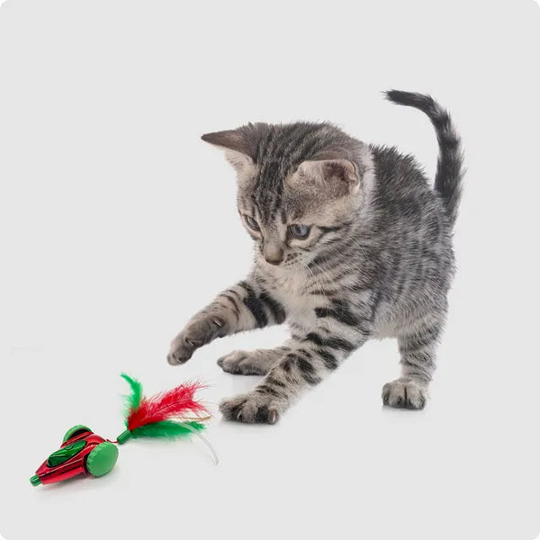 FOFOS Holiday Car Interactive Cat Toy