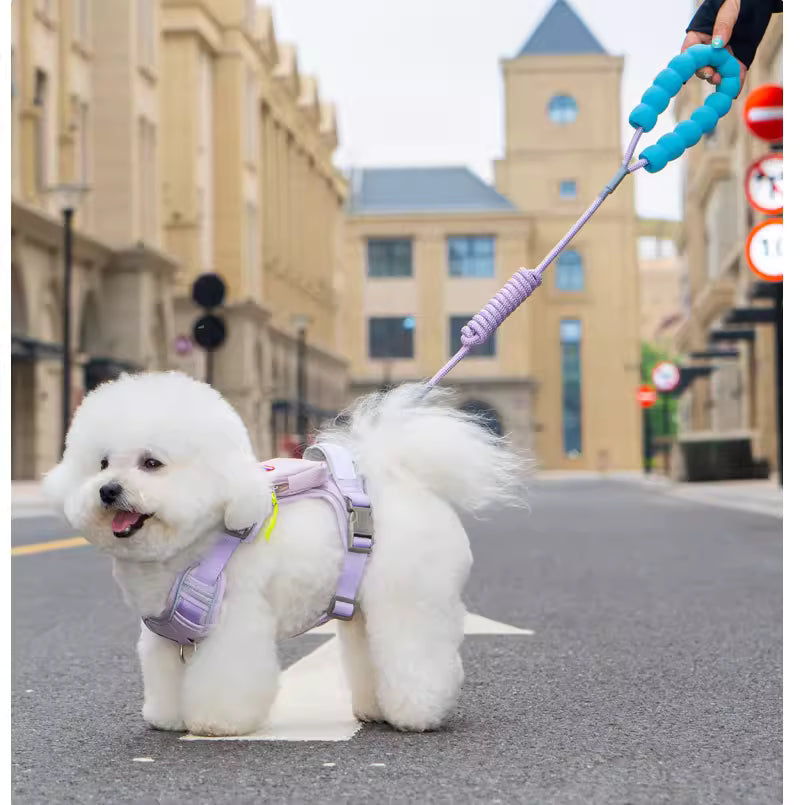 Big Dog Bag Harness and Leash Set
