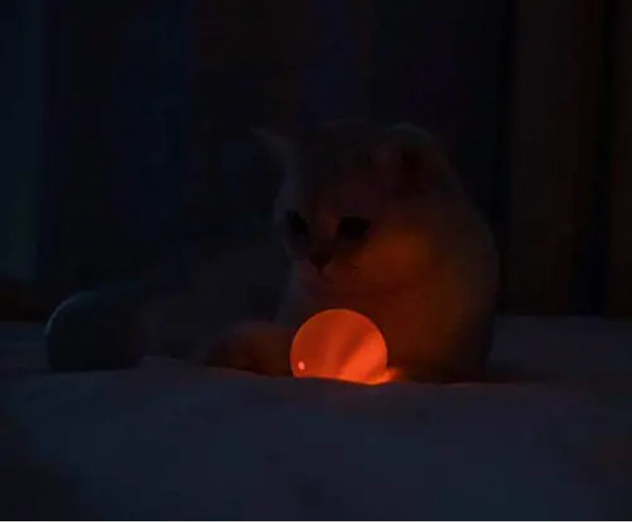 3 in 1 Cat Balls