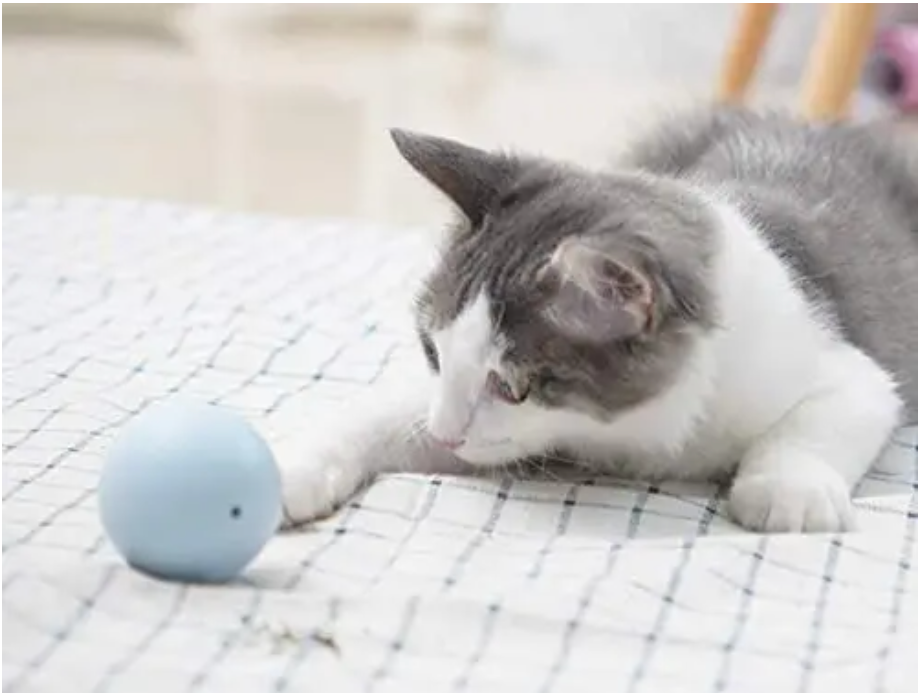 3 in 1 Cat Balls